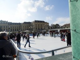 Weihnachtsmarkt Schönbrunn am 17.11.2024